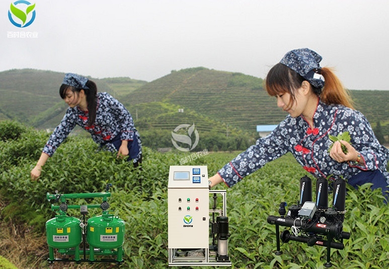 杭州湖南株洲
滴灌系统有什么优势？